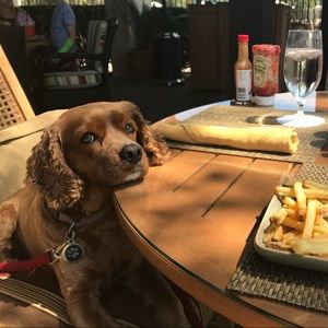 Meet your Posher, Jaimy